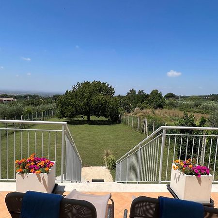 La Terrazza Sul Ciliegio Lägenhet Marino Exteriör bild